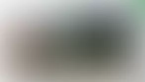 Bildschirmfoto der Website streit.de.