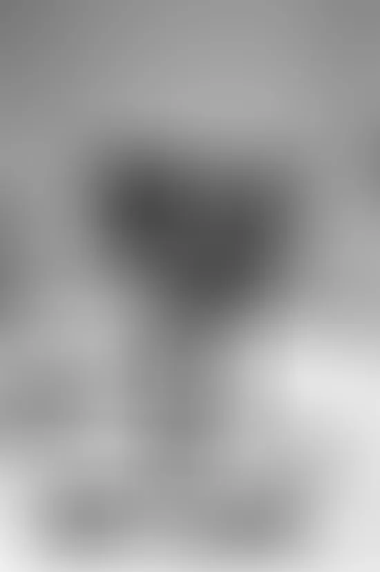 Nahaufnahme der MobilSiegel-Auszeichnung, die auf einem Tisch steht. Im Vordergrund ist ein Modellbus zu sehen, während weitere Auszeichnungen leicht unscharf im Hintergrund erscheinen.
